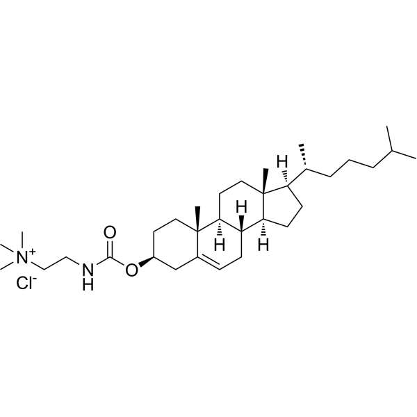 Cholesteryl N-(trimethylammonioethyl)carbamate chloride 188022-80-2